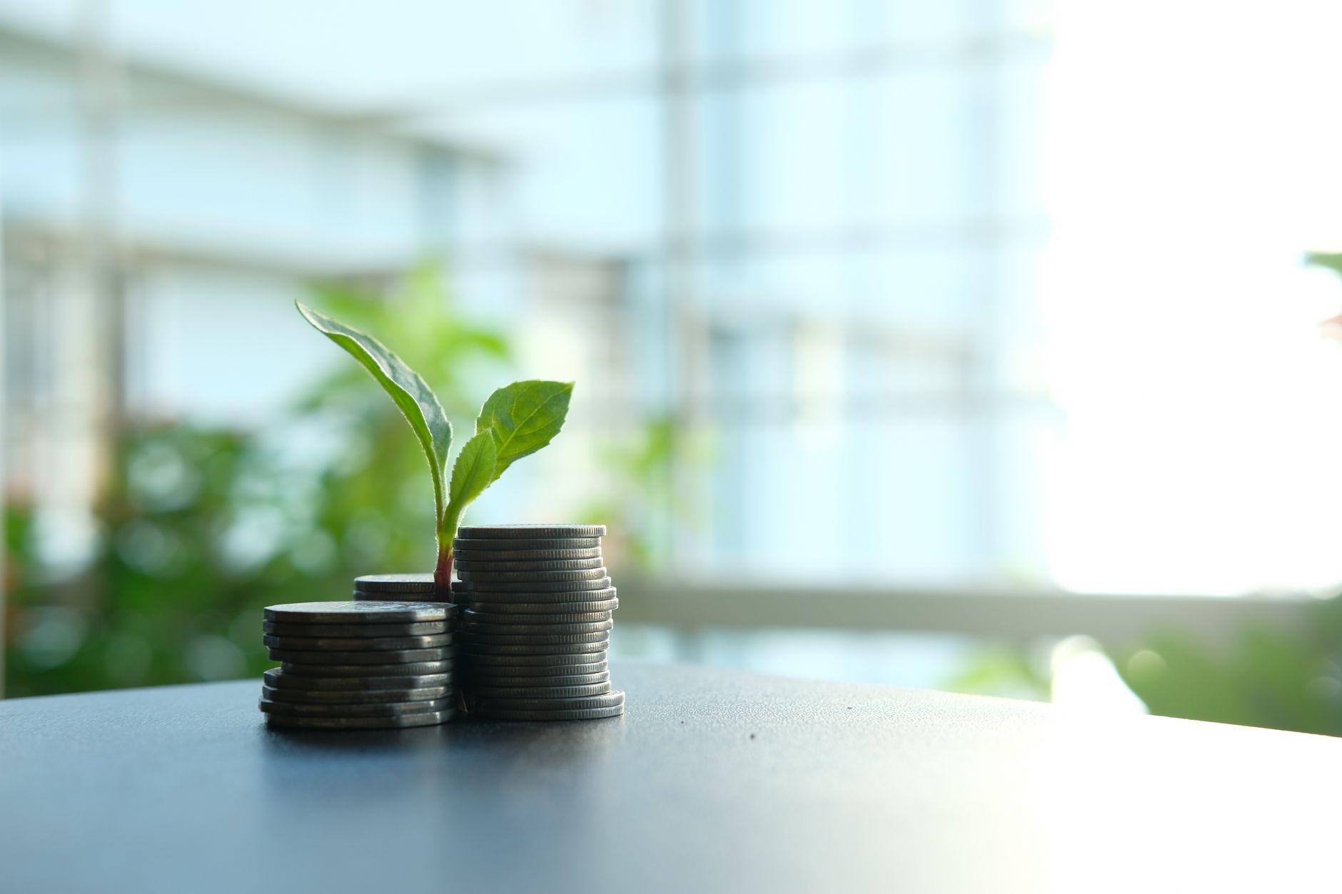 Foreign Investments in Mauritius in the First Quarter of 2026