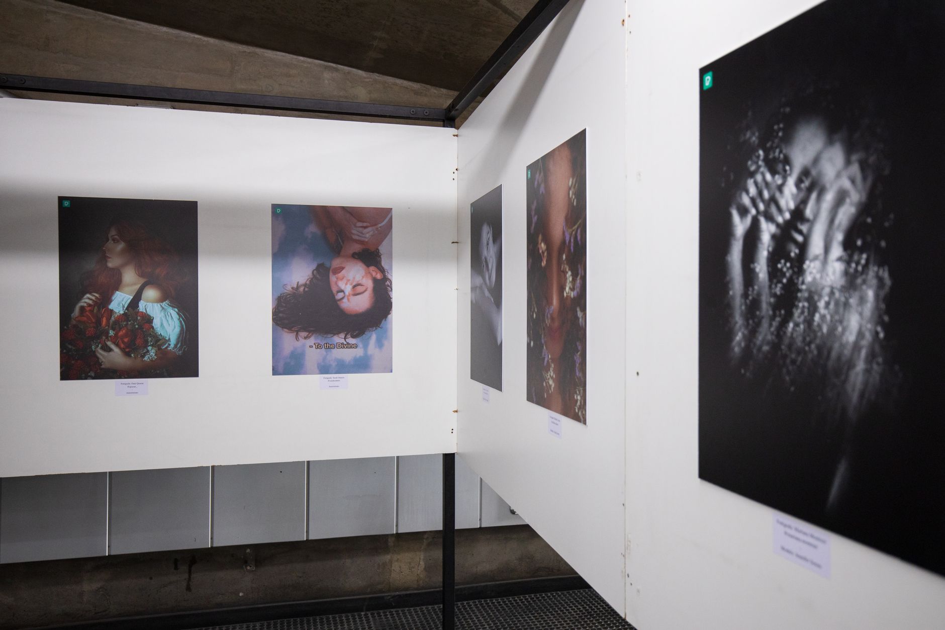 Exhibition by Régis Lesieur at the Caudan Arts Centre