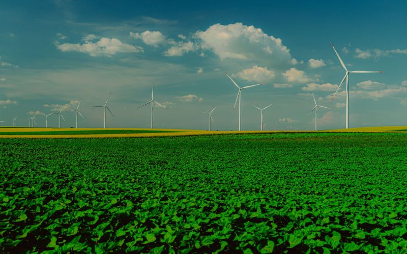 Mise en place d&rsquo;un comité pour l&rsquo;attribution des terres aux projets d&rsquo;énergie renouvelable à Maurice