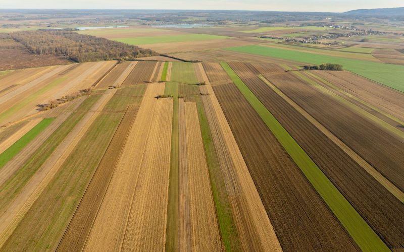 Réglementation du recrutement de main-d&rsquo;œuvre étrangère dans l&rsquo;agriculture