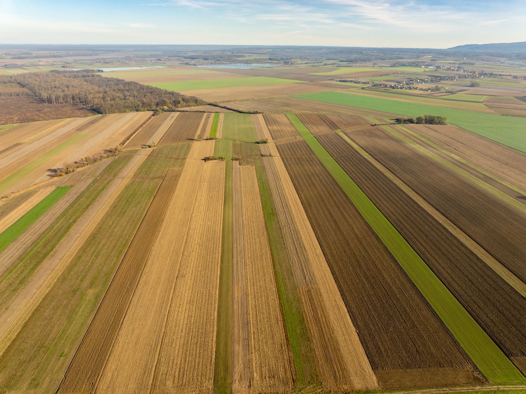 Réglementation du recrutement de main-d&rsquo;œuvre étrangère dans l&rsquo;agriculture