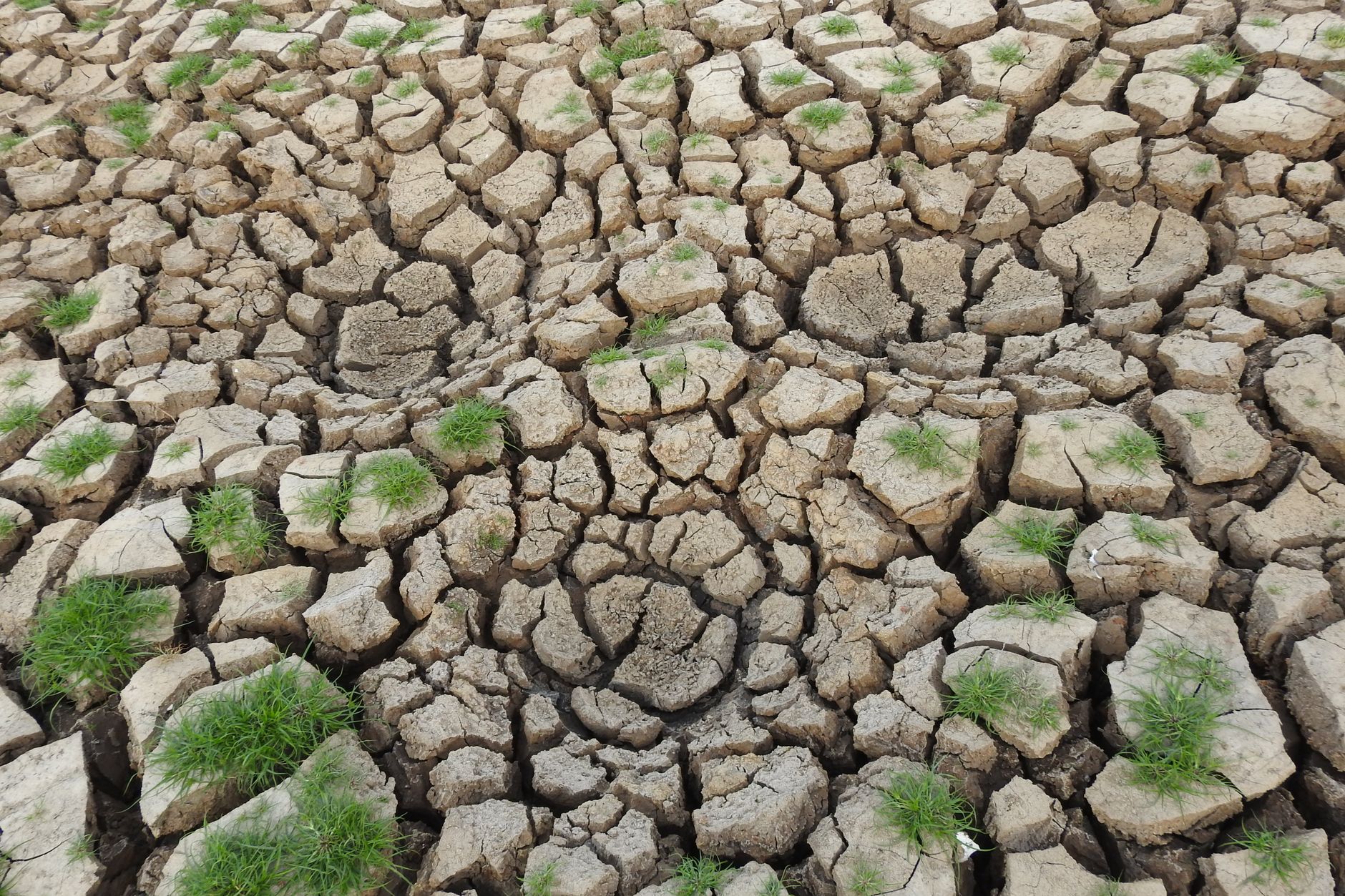 Analysis of Climate Initiative Financing in Mauritius