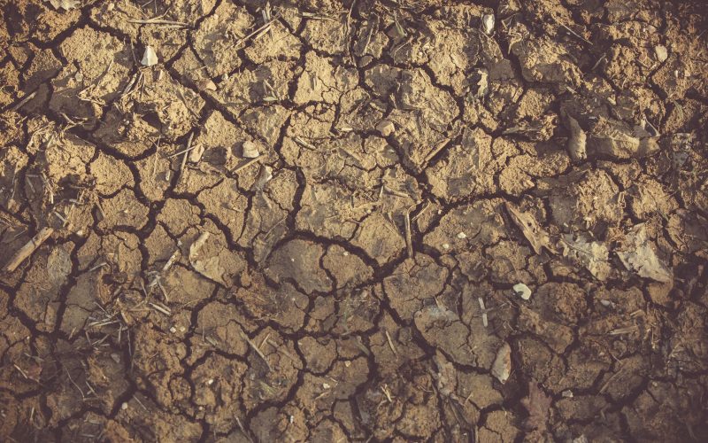 Prévisions environnementales inquiétantes pour 2025 à Maurice