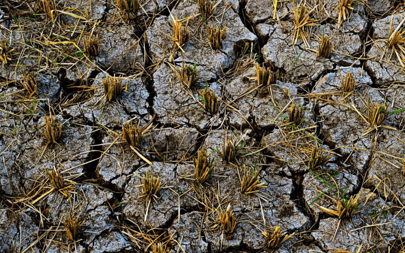 Impact du dérèglement climatique sur l&rsquo;économie mauricienne