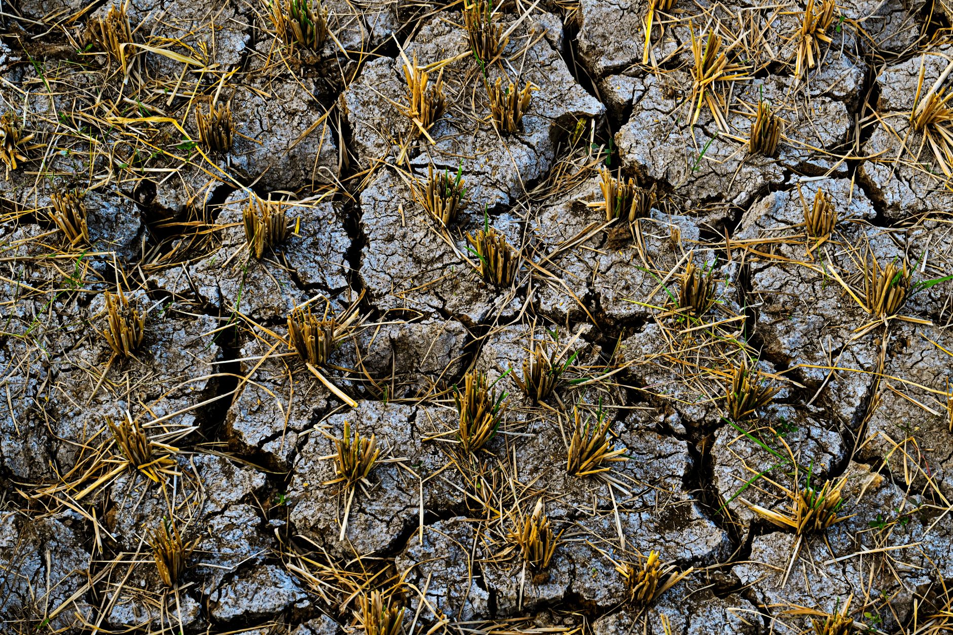 Impact du dérèglement climatique sur l&rsquo;économie mauricienne