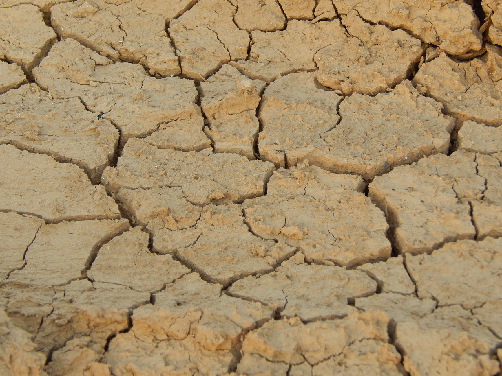 Raréfaction de l&rsquo;eau à Maurice : un défi pour les ménages, planteurs et entreprises