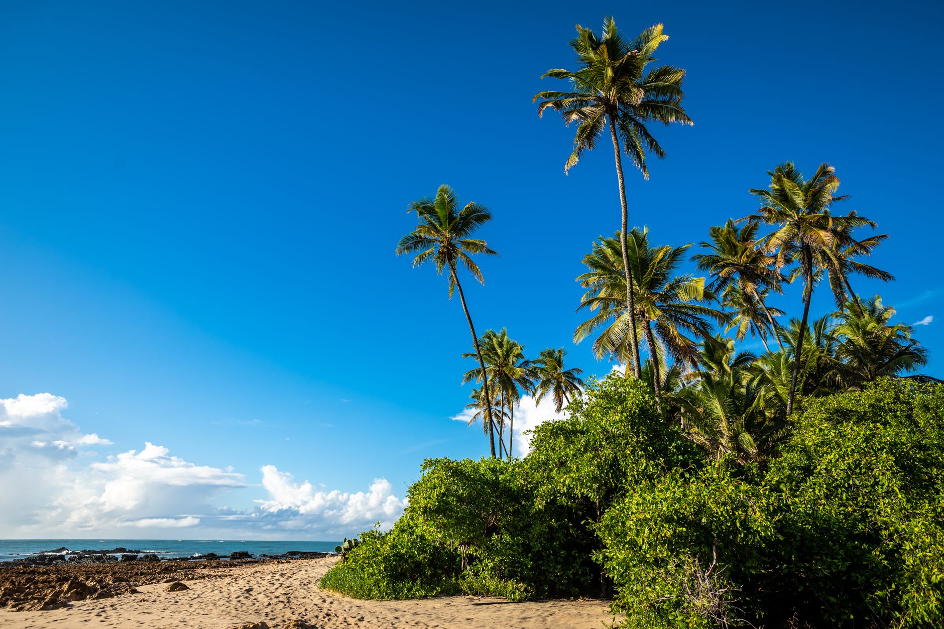 Significant Increase in Tourist Revenue in Mauritius