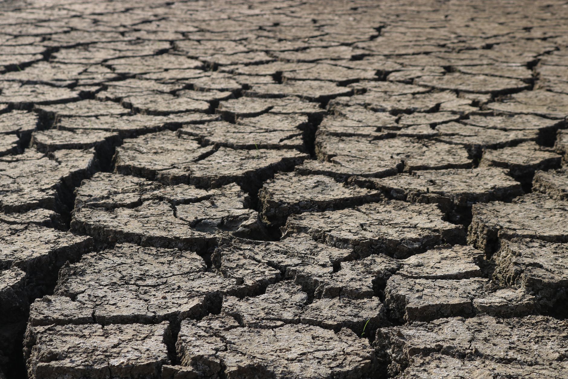 Water Restrictions: Small Businesses Adapt