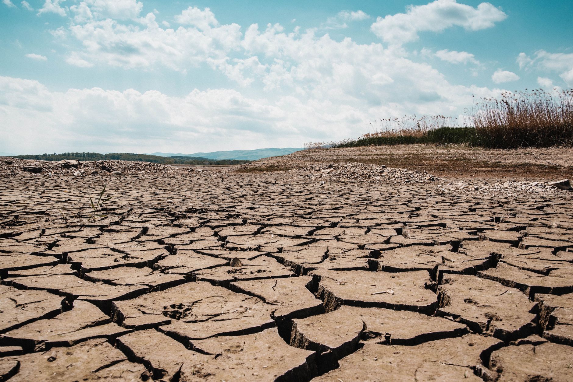 Prévisions d&rsquo;El Niño : Impact potentiel sur le climat à Maurice
