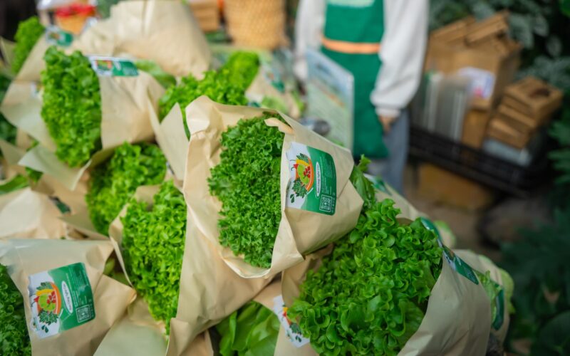 Mobilisation de fonds pour l&rsquo;autosuffisance alimentaire à Maurice